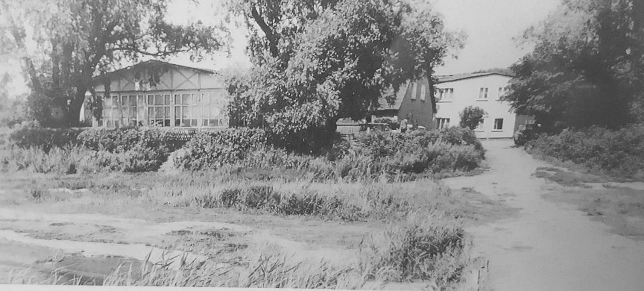 Hotel Inselhof Vineta Zempin Zewnętrze zdjęcie